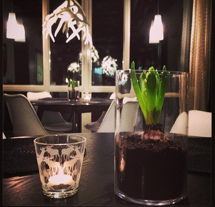 קירונה Mattarahkka Northern Light Lodge מראה חיצוני תמונה