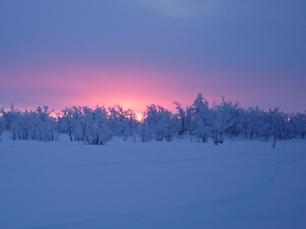 קירונה Mattarahkka Northern Light Lodge מראה חיצוני תמונה